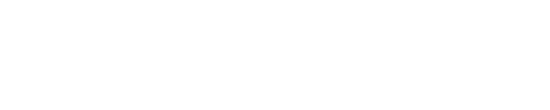 DEXPI-white